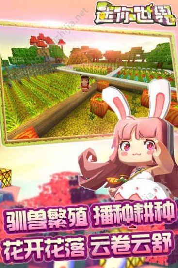 迷你世界巴啦啦能量手机版 v1.8.5