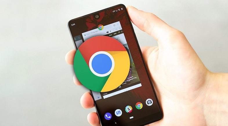 谷歌Chrome浏览器便携版获取与安装教程