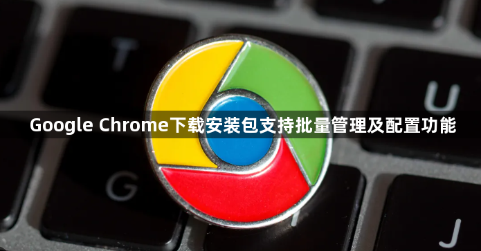 Google Chrome下载安装包支持批量管理及配置功能1