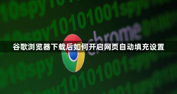 谷歌浏览器下载后如何开启网页自动填充设置1