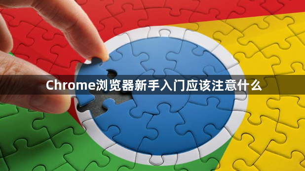 Chrome浏览器新手入门应该注意什么1
