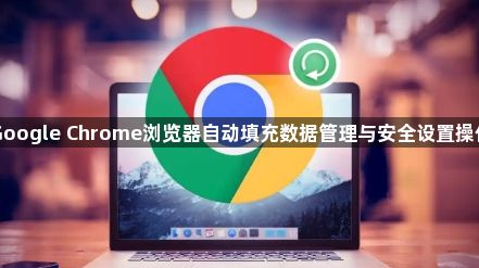 Google Chrome浏览器自动填充数据管理与安全设置操作1