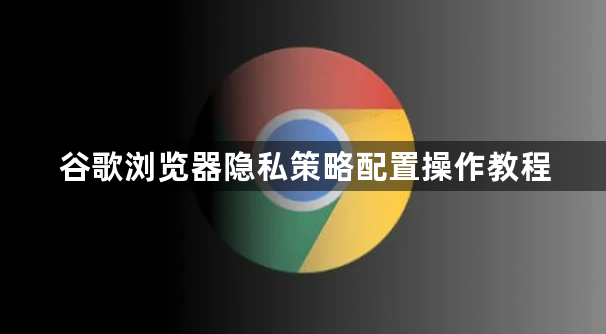 谷歌浏览器隐私策略配置操作教程1