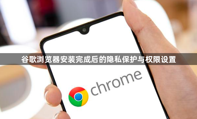 谷歌浏览器安装完成后的隐私保护与权限设置1